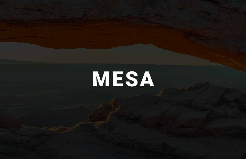 app development company in mesa