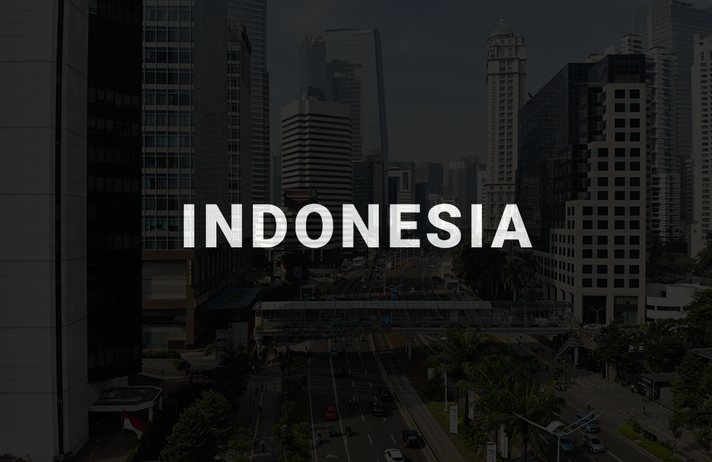 app development company in indonesia