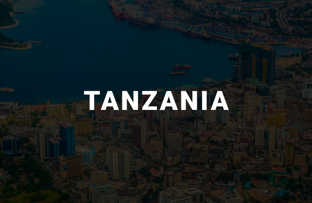 app development company in tanzania