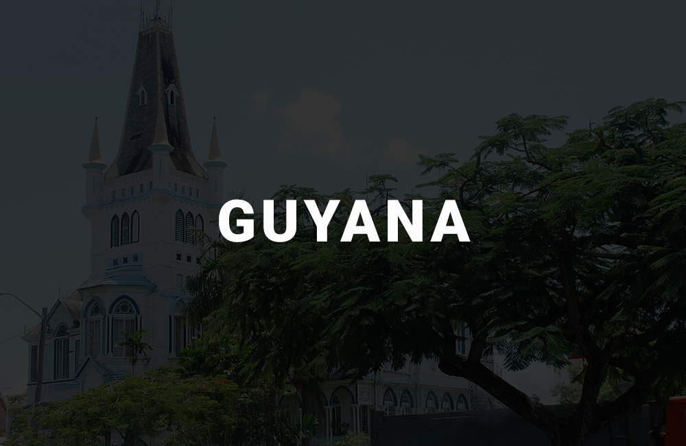 app development company in guyana